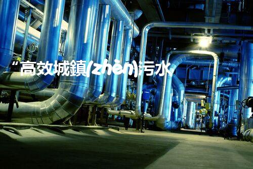 “高效城鎮(zhèn)污水處理流程，守護(hù)碧水藍(lán)天新篇章”